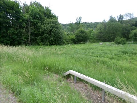 0 Candor Road Spencer NY 14883