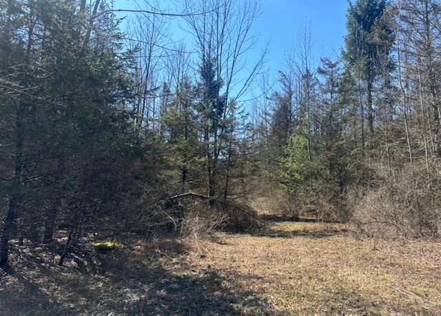 0 Hill Road
