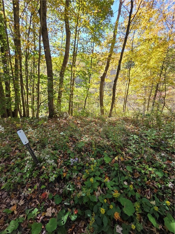 Deputron Hollow Road