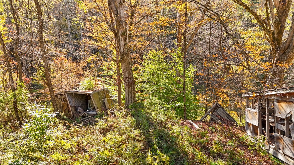 Deputron Hollow Road