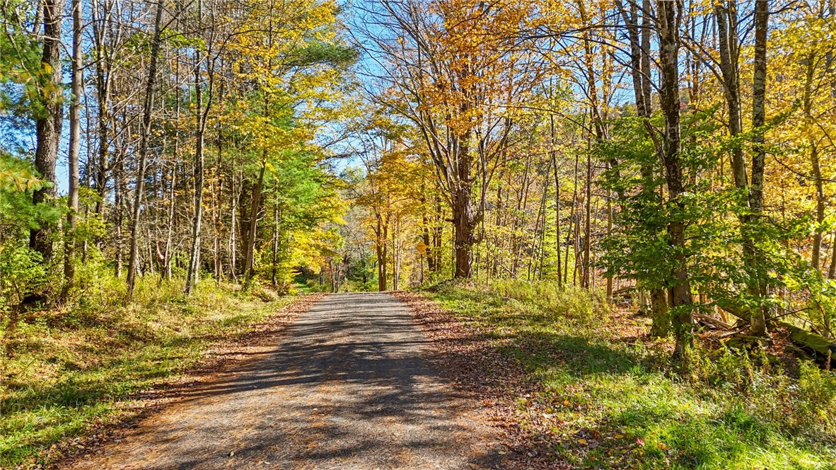 Deputron Hollow Road
