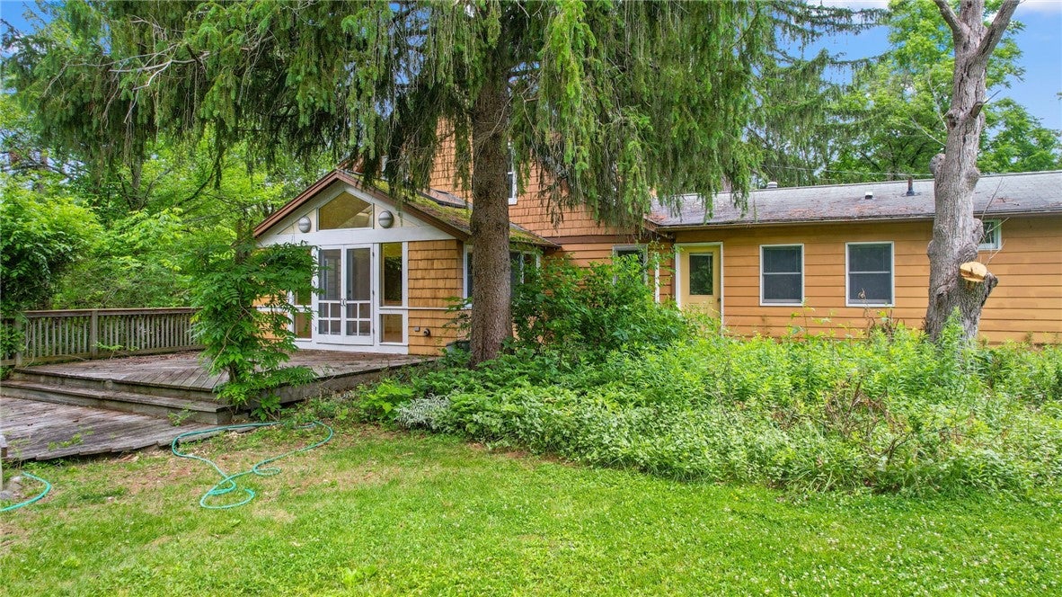 203 Pine Tree Road