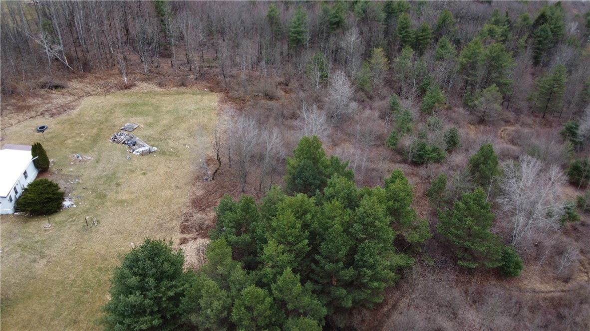 Tyler Hollow Road S