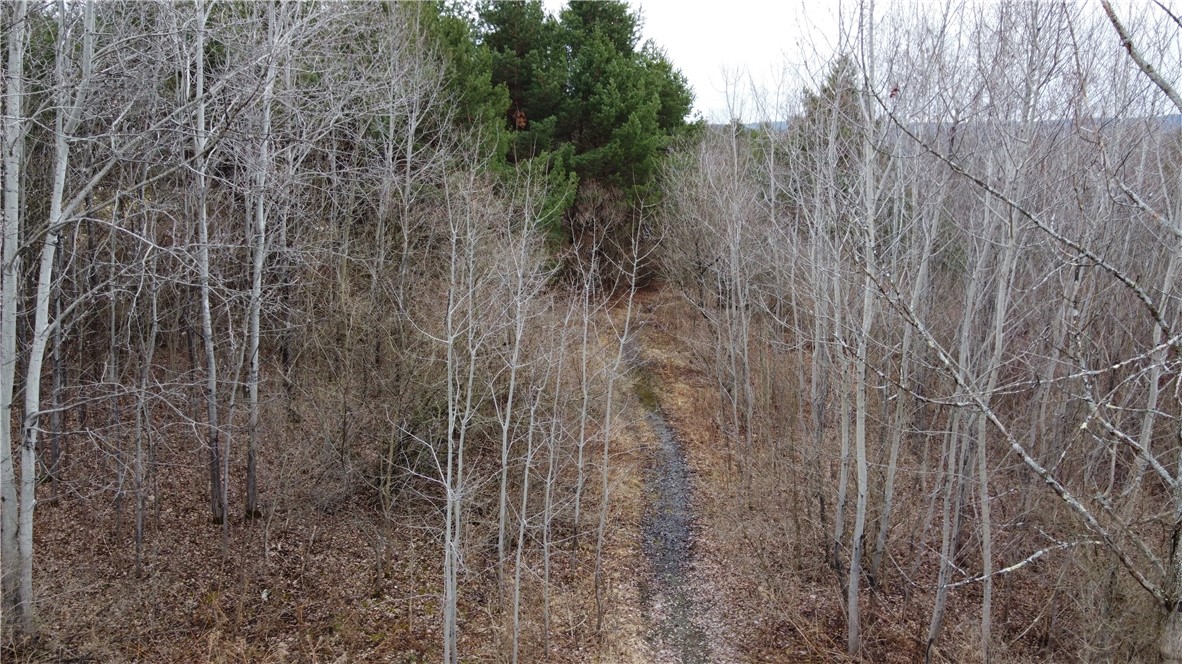 Tyler Hollow Road S