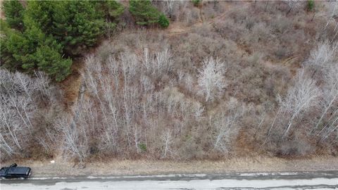 Vacant Land For Sale - Tyler Hollow Road<br/> Tioga County, Spencer, NY 14883