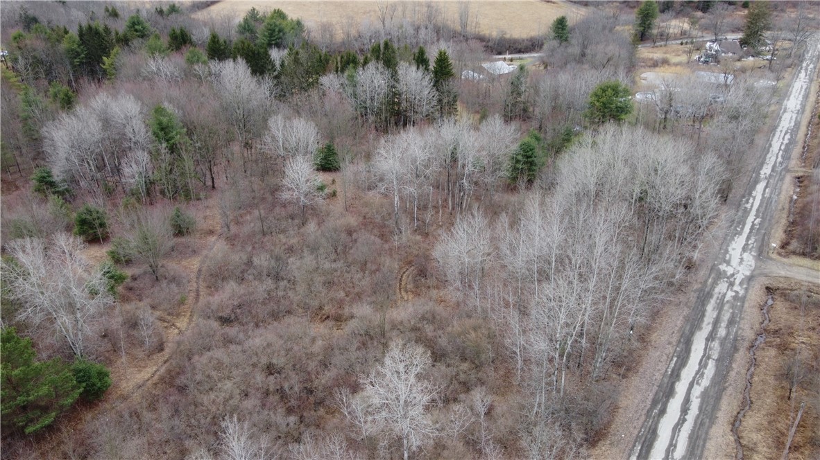 Tyler Hollow Road S