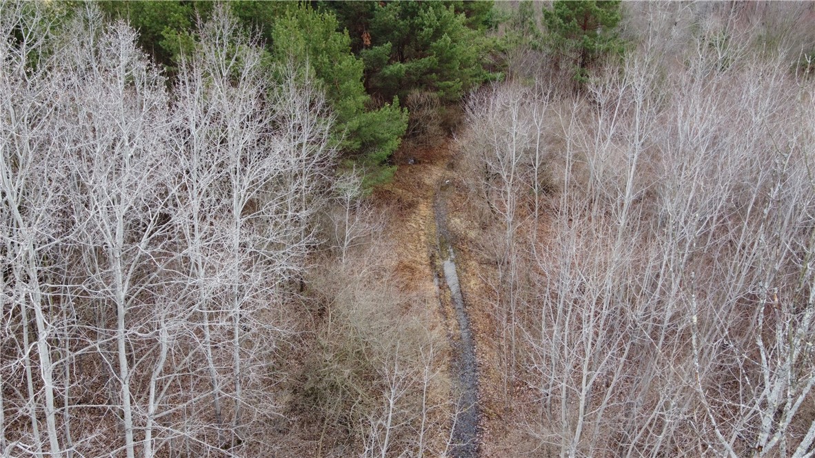 Tyler Hollow Road S
