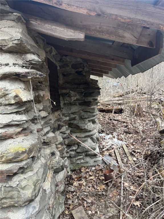Vesa Road, Hector, New York image 3