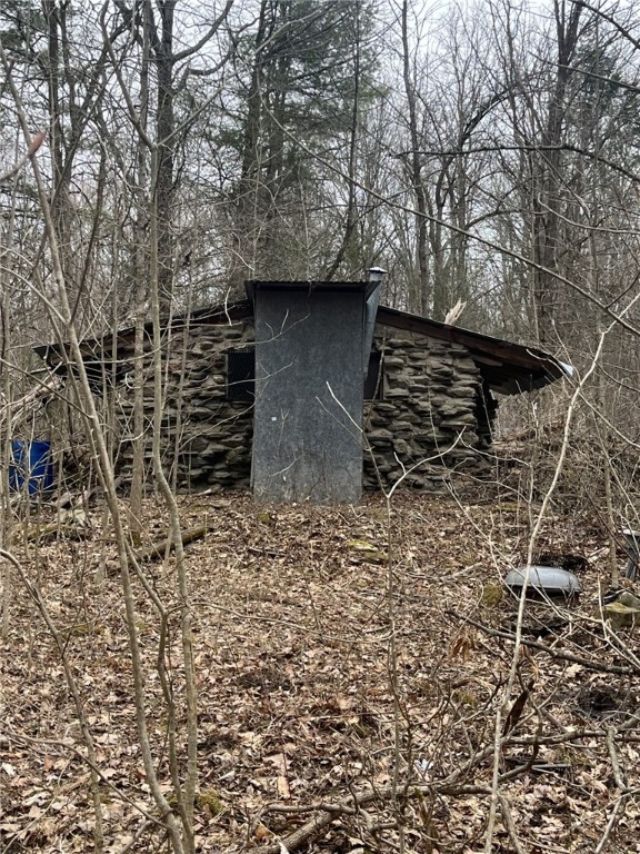 Vesa Road, Hector, New York image 6