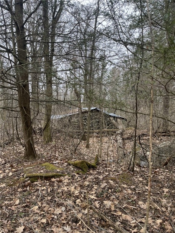 Vesa Road, Hector, New York image 1