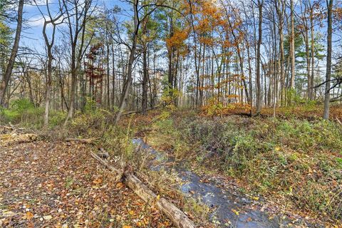 Vacant Land For Sale - 00 Burdick Hill Road<br/> Tompkins County, Lansing, NY 14850