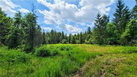 5185 Terrell Road Trumansburg NY 14886