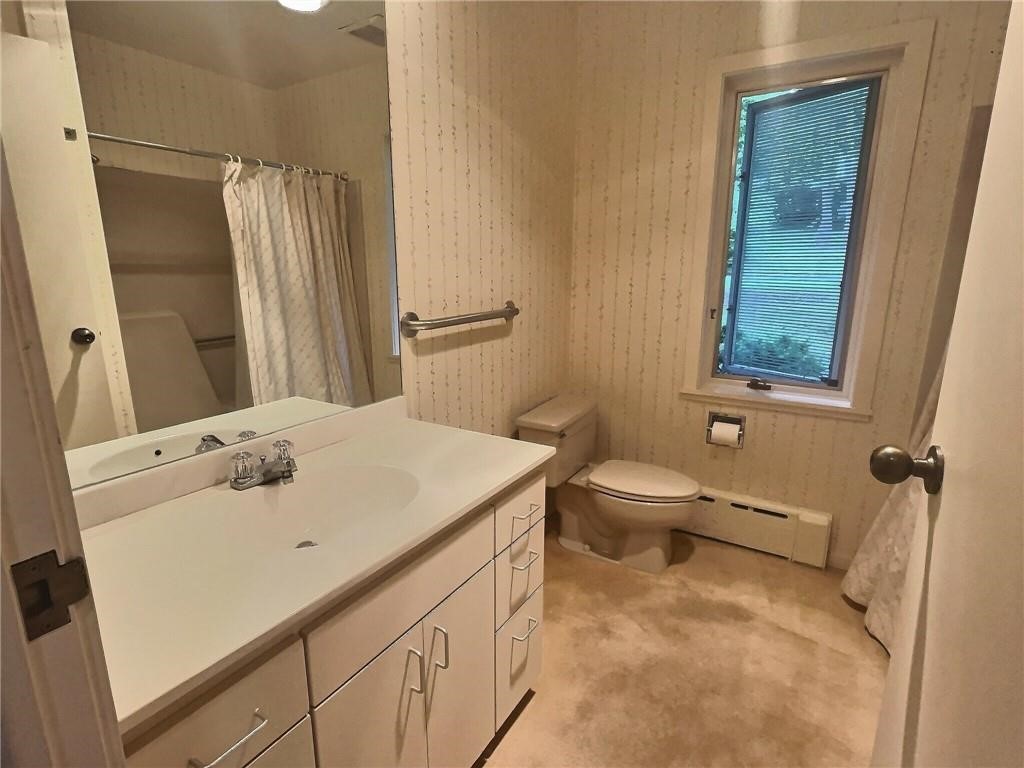 120 Cayuga Park Road, Ithaca, New York image 15