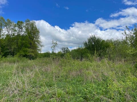 Photo for 0 W Dryden Road