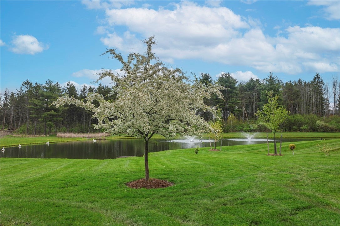 13 Woodland Way