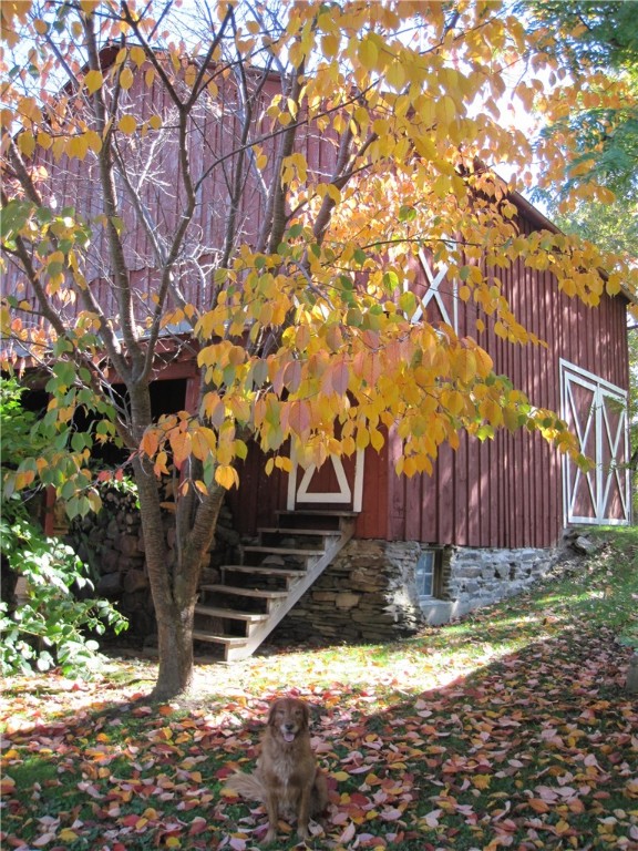 509 Coddington Road, Ithaca, New York image 29