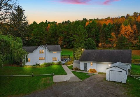 45 Chaffee Creek Road Newfield NY 14867