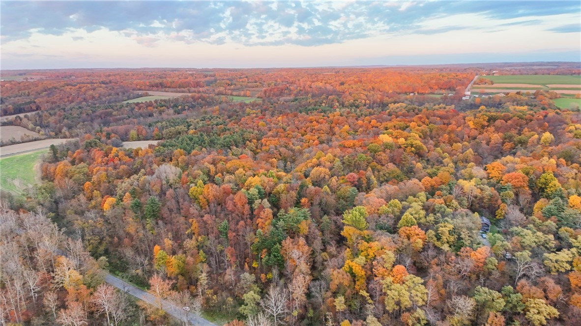 Salmon Creek Road, Lansing, New York image 4