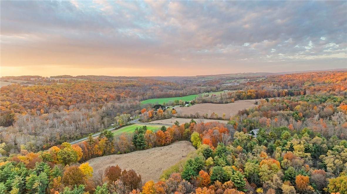 Salmon Creek Road, Lansing, New York image 2