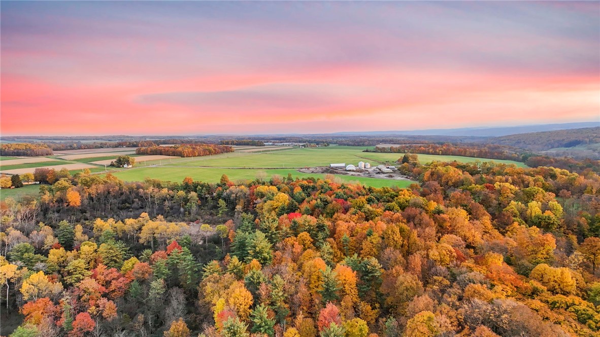 Salmon Creek Road, Lansing, New York image 1