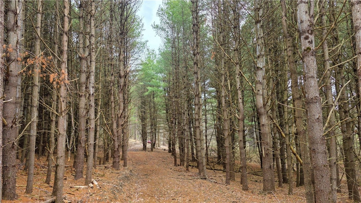 001 Bannister Road