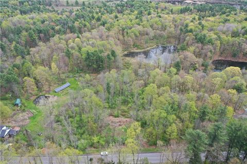 0 Coddington Road S Brooktondale NY 14817