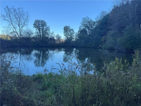 Vacant Land For Sale - Gleason Hill Road<br/> Spencer, NY 14883