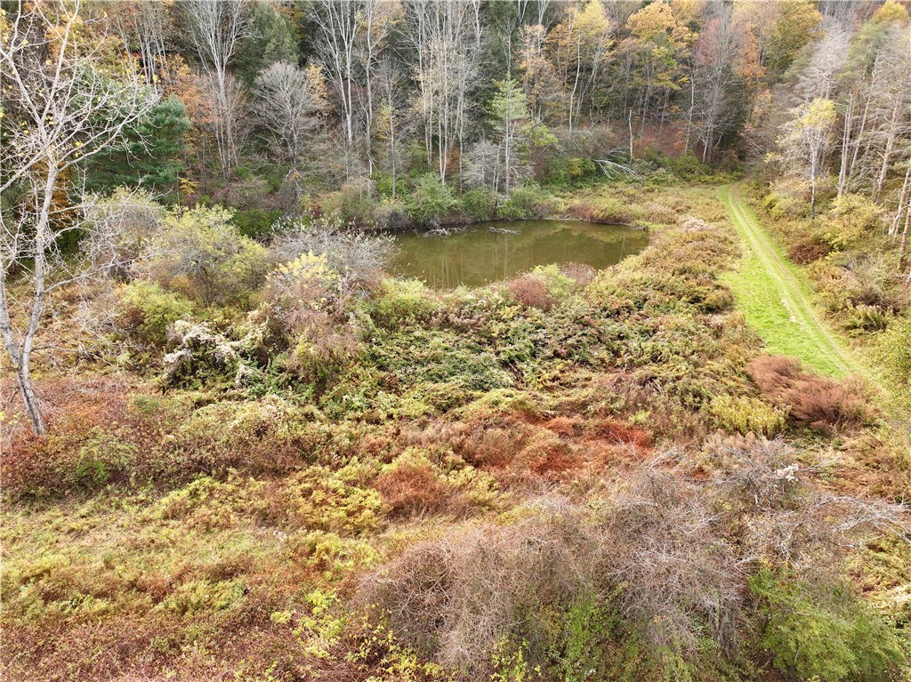 Gleason Hill Road