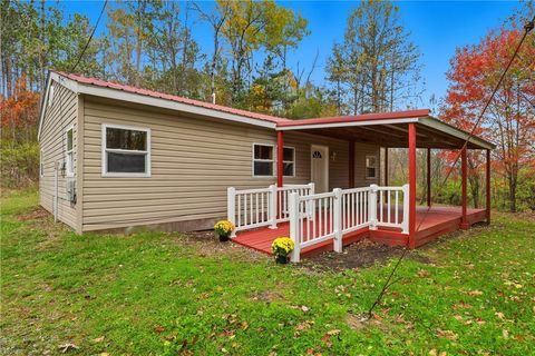 135 Douglas Road Newfield NY 14867