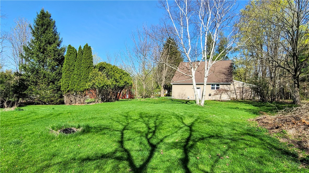 4 Benjamin Hill Road, Newfield, New York image 43