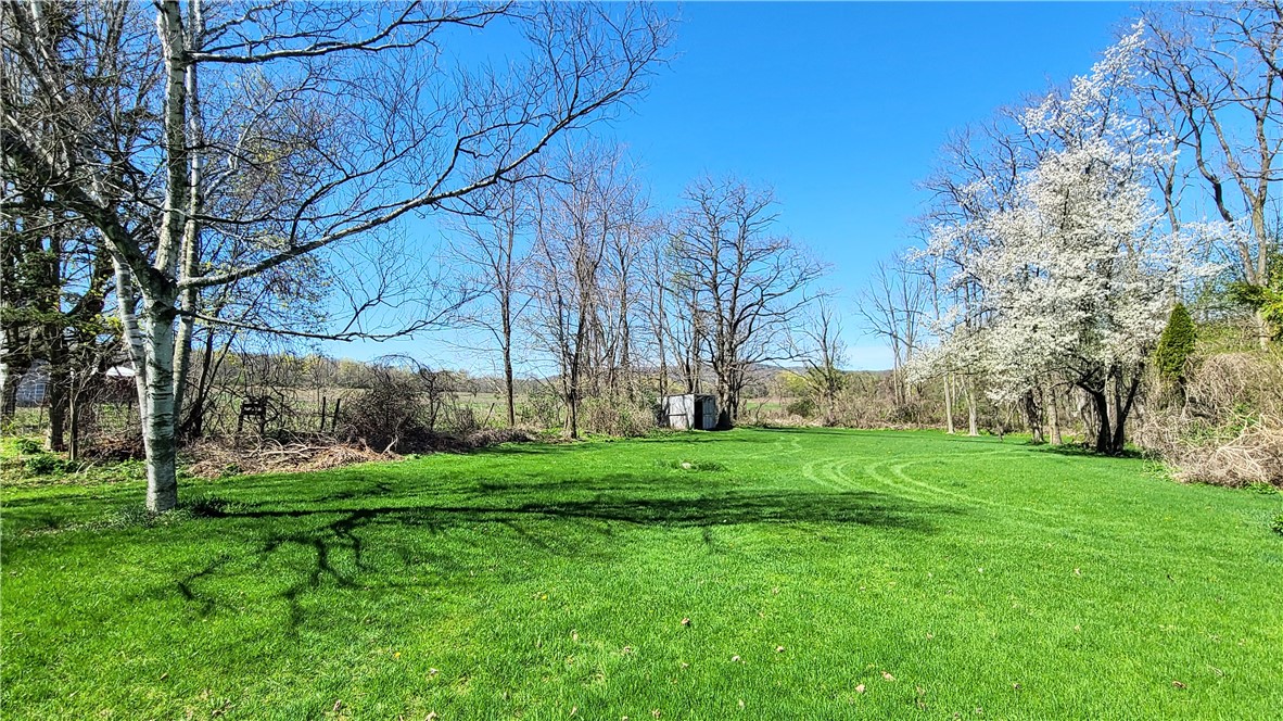 4 Benjamin Hill Road, Newfield, New York image 4