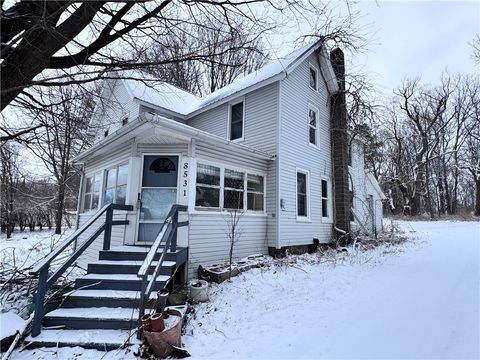 Homes For Sale - 8531 Lodi Center Road<br/> Seneca County, Lodi, NY 14860