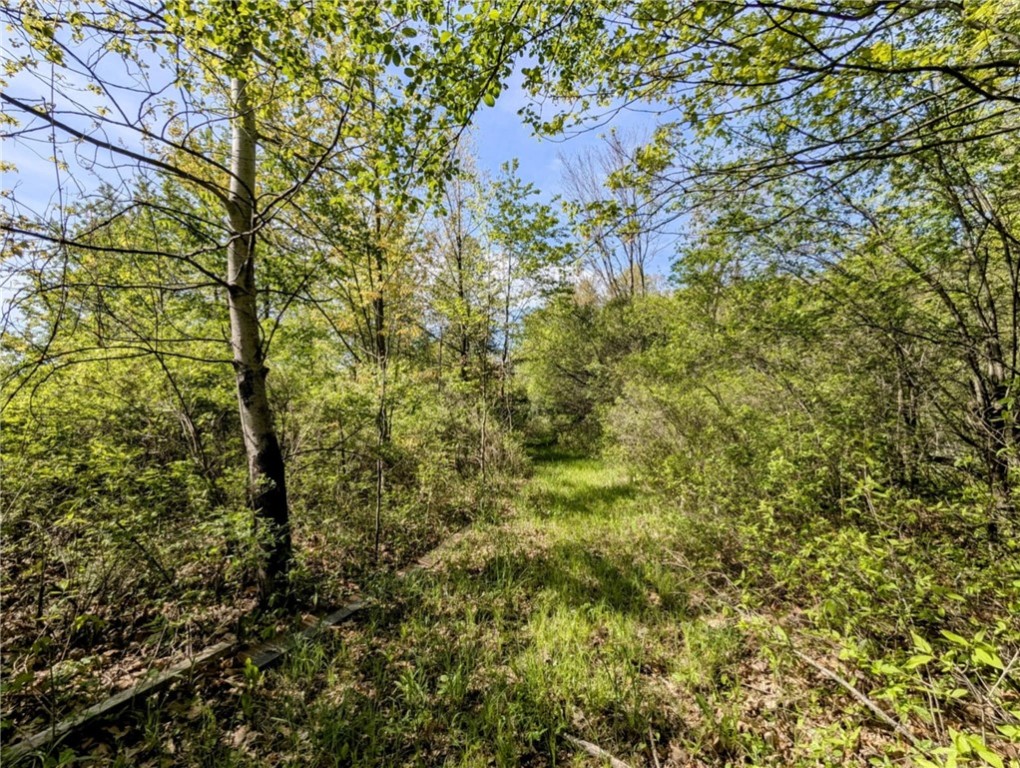 3829 Tichenor Road, Hector, New York image 39