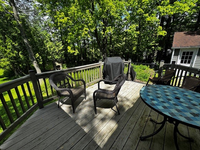 1228 Ellis Hollow Road, Dryden, New York image 22