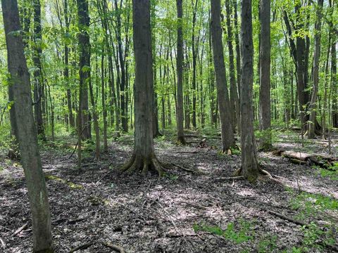 Vacant Land For Sale - Pilgrimport Road<br/> Wayne County, Lyons, NY 14489