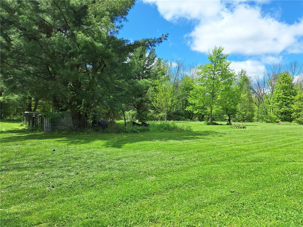 800 Van Kirk Road, Newfield, New York image 28