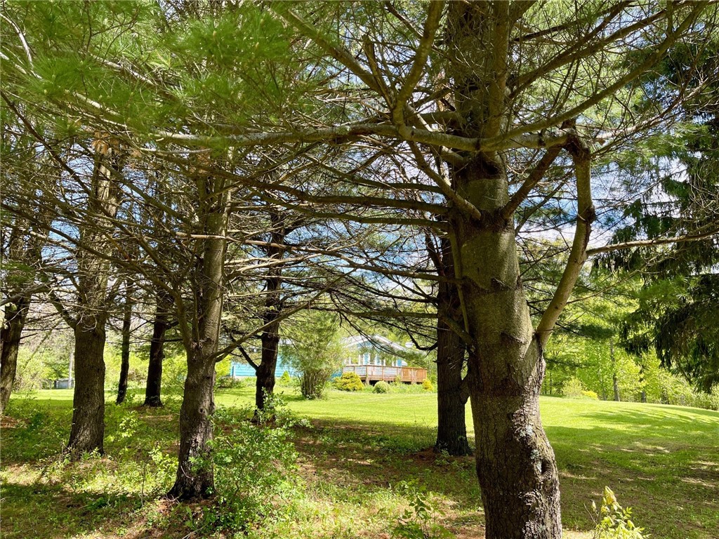 800 Van Kirk Road, Newfield, New York image 30