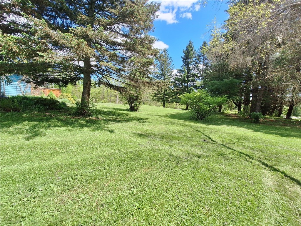 800 Van Kirk Road, Newfield, New York image 31