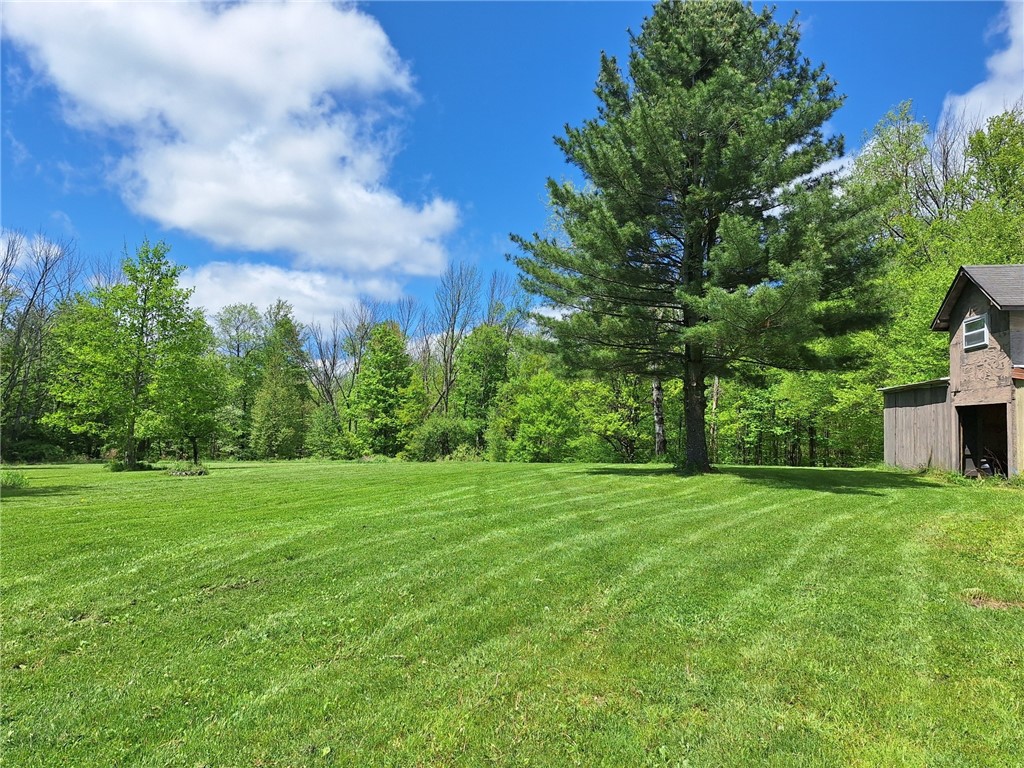 800 Van Kirk Road, Newfield, New York image 27