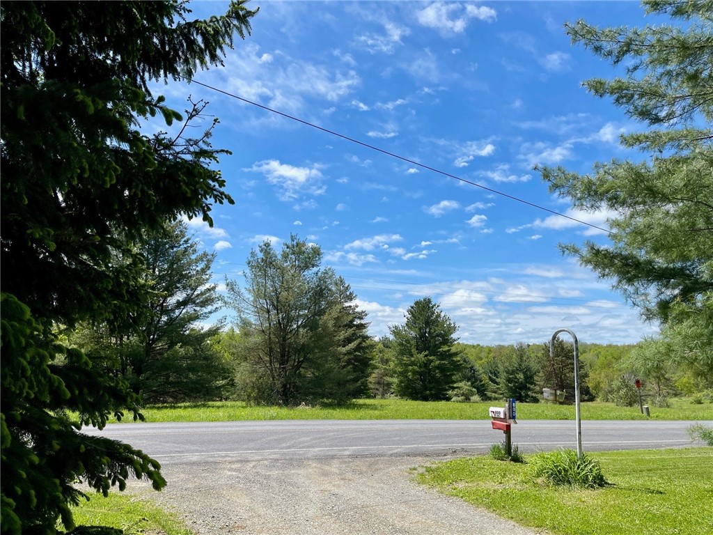 800 Van Kirk Road, Newfield, New York image 25