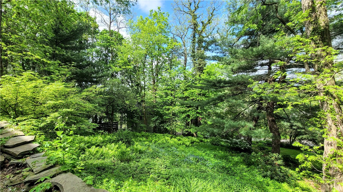 20 Renwick Heights Road, Ithaca, New York image 49