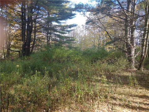 Vacant Land For Sale - Dawson Hill Road<br/> Spencer, NY 14883