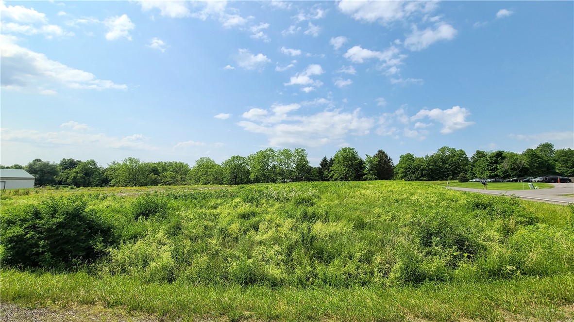 Cayuga Vista Lane, Lansing, New York image 9