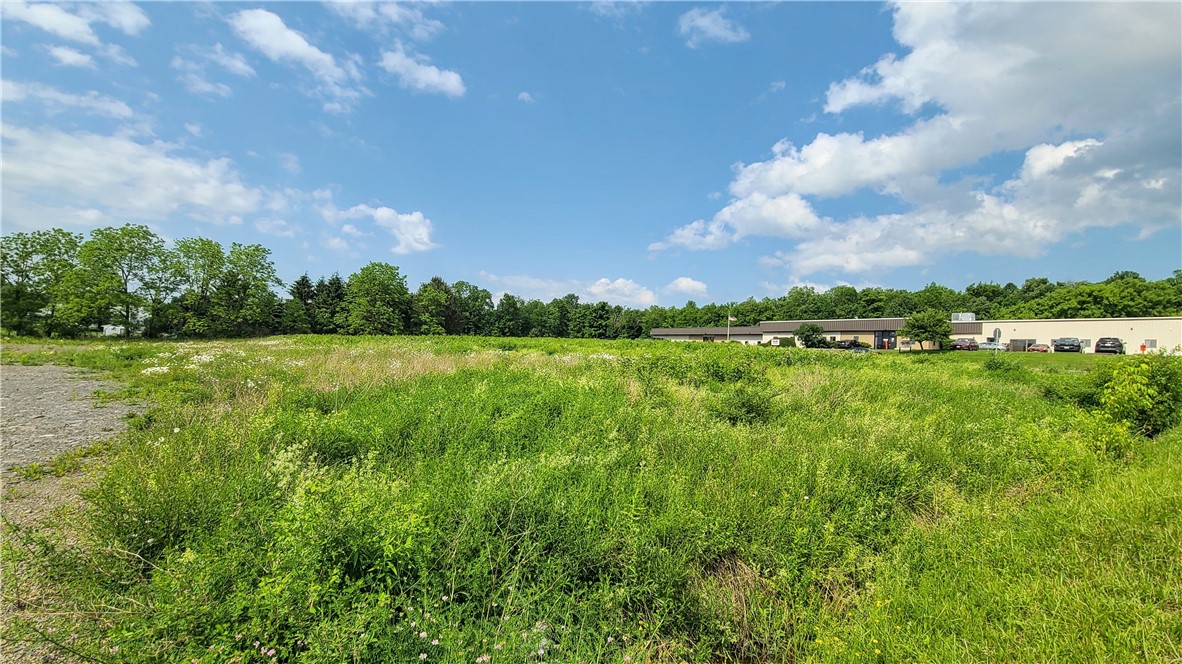 Cayuga Vista Lane, Lansing, New York image 15