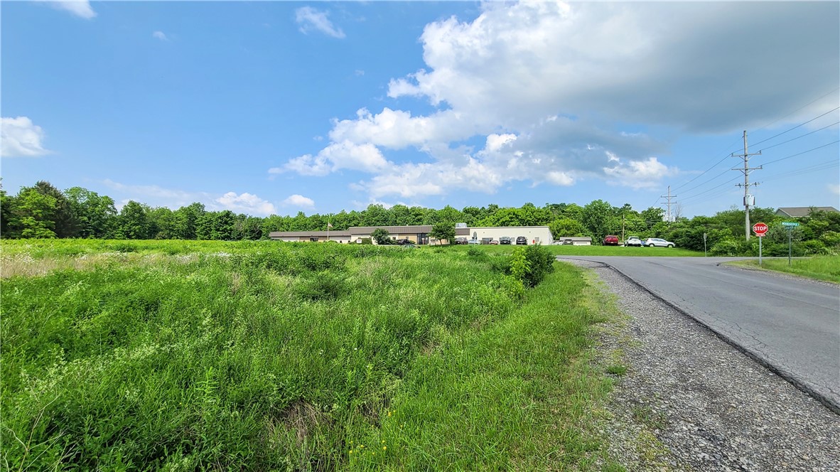 Cayuga Vista Lane, Lansing, New York image 13
