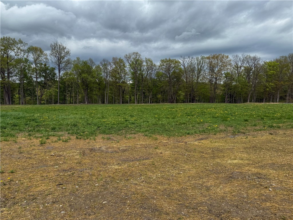 4 (lot # 4) East Shore Circle, Lansing, New York image 12