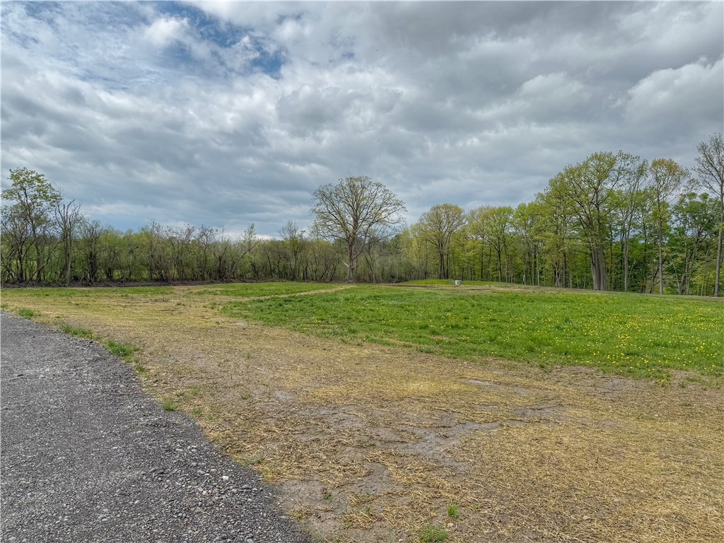 4 (lot # 4) East Shore Circle, Lansing, New York image 10