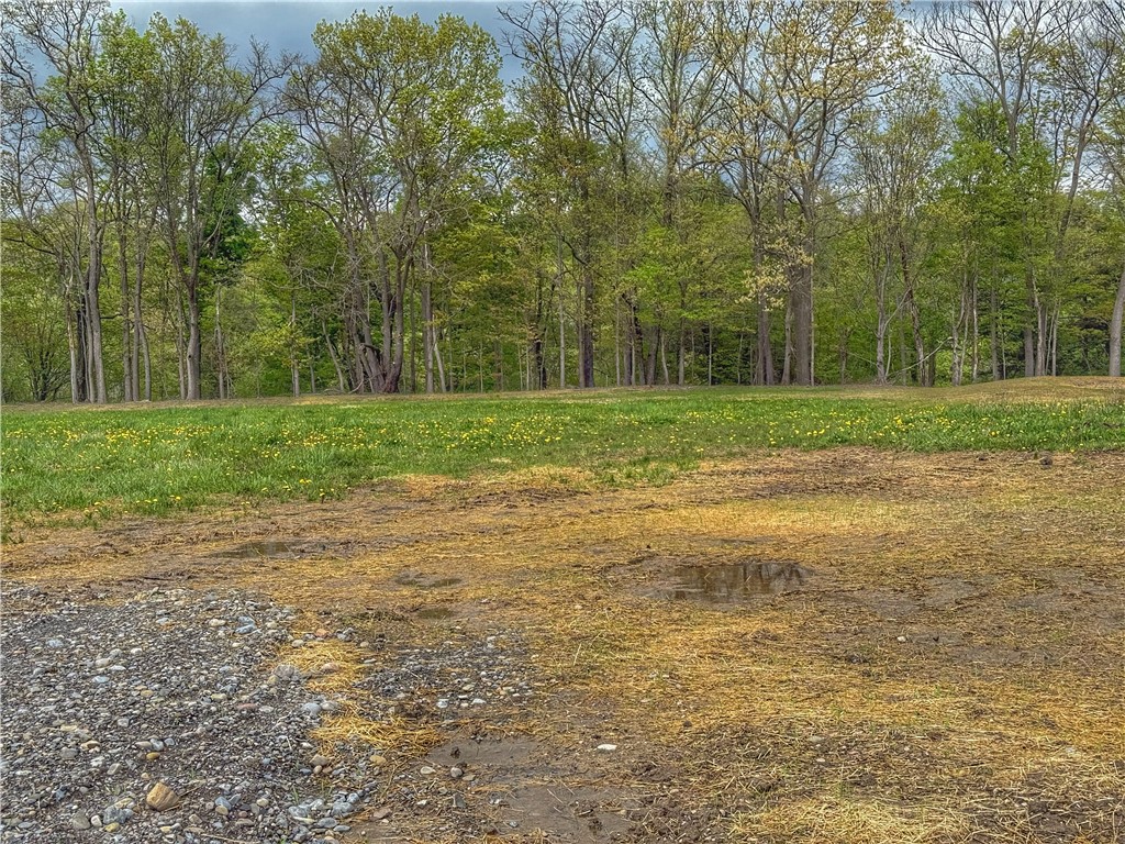 4 (lot # 4) East Shore Circle, Lansing, New York image 9