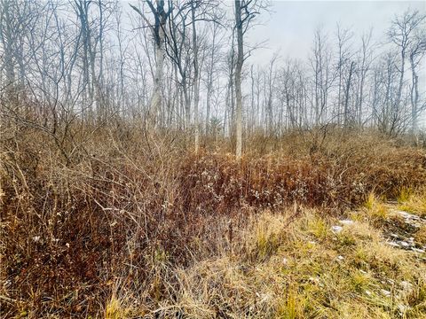 0 Neimi Road Ithaca NY 14850