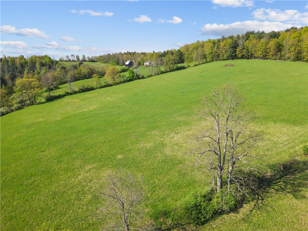 725 S Hill Road, Spencer, New York image 25